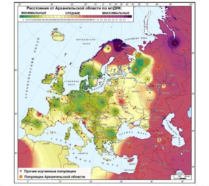 Русский генофонд на русской равнине скачать pdf